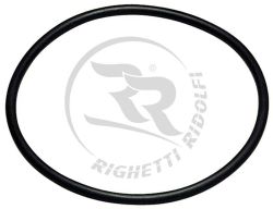 righetti ridolfi water pump belt rigk538