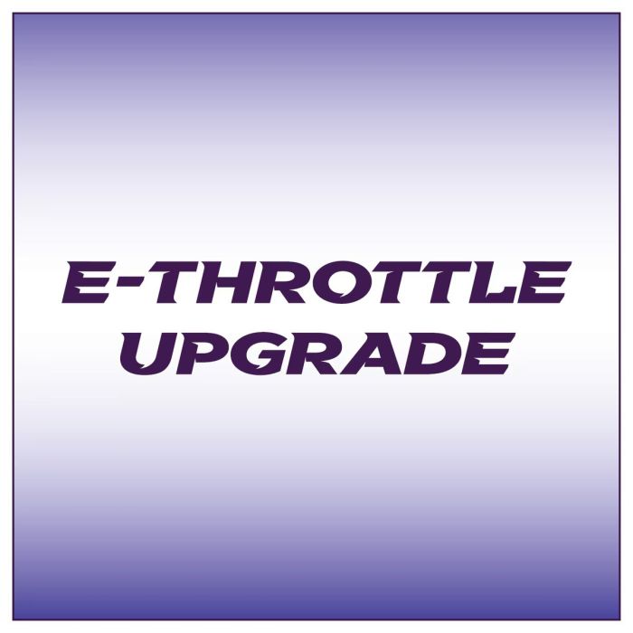 E-Throttle upgrade on NEW G4X Plugin ECU