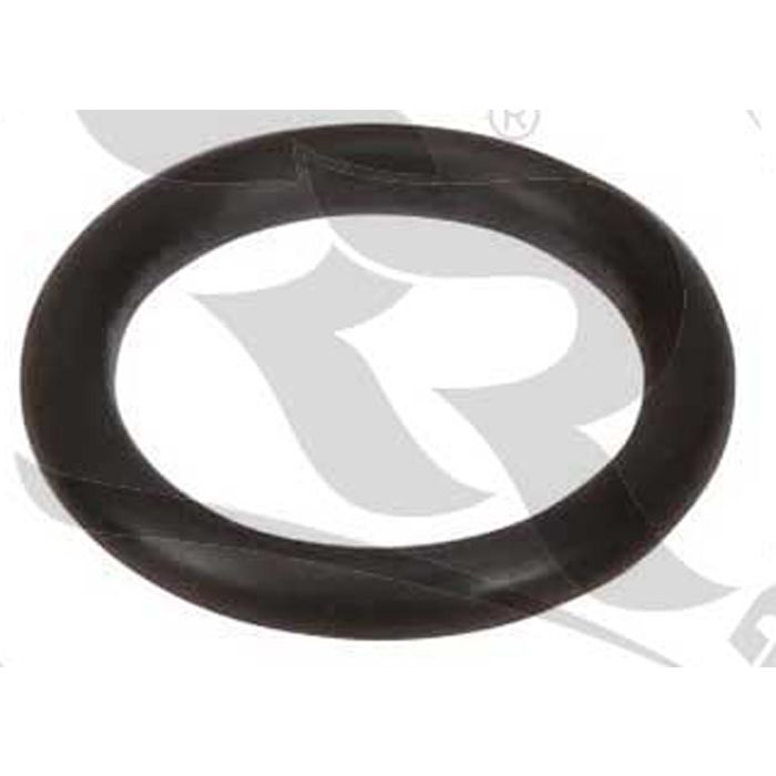 righetti ridolfi o ring for tank small cap rigk195