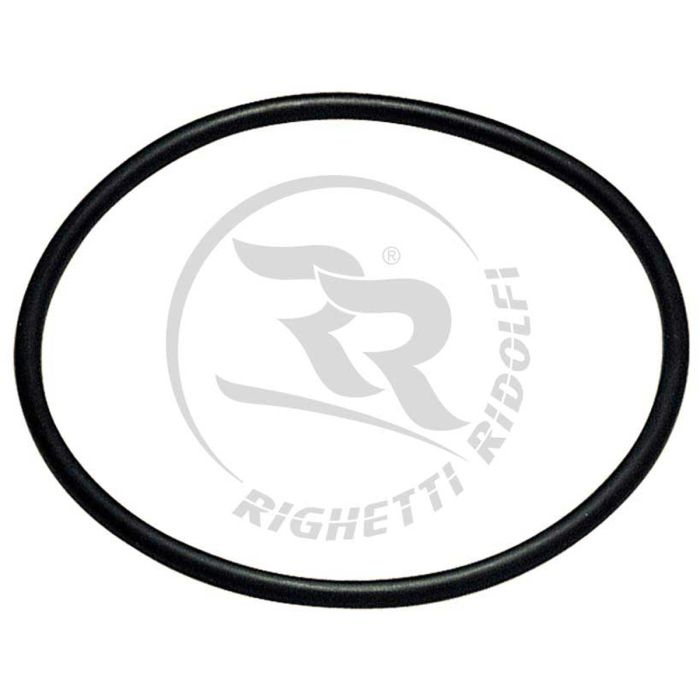 righetti ridolfi water pump belt rigk538