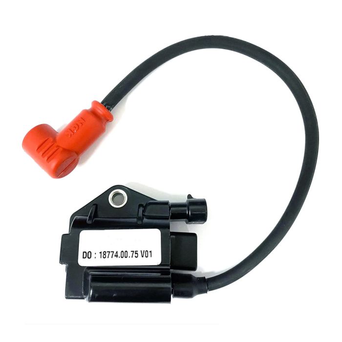 ignition-coil
