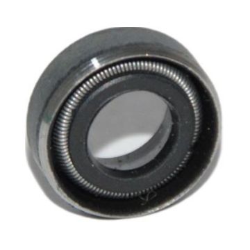 Oil Seal 6X11X3/4.5