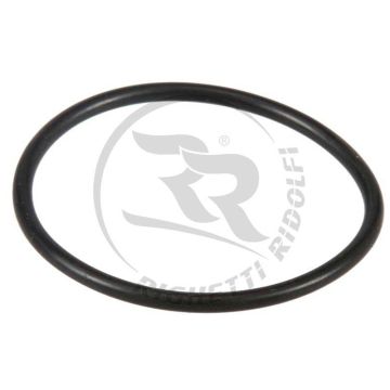 righetti ridolfi o ring for fuel tank rigk096