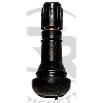 righetti ridolfi tubless valve long tr413 rigk223
