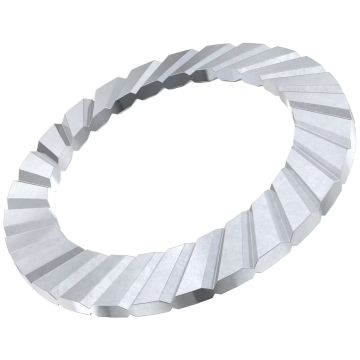 Schnorr washers