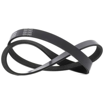 SEAT Supercopa Alternator Belt