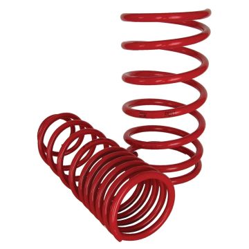 Ford Fiesta MK4 60mm SSX Lowering Spring Kit