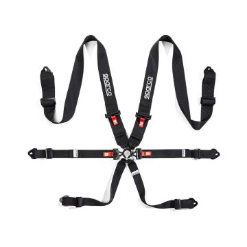 Steel 6 Point 3in. Saloon Harness 